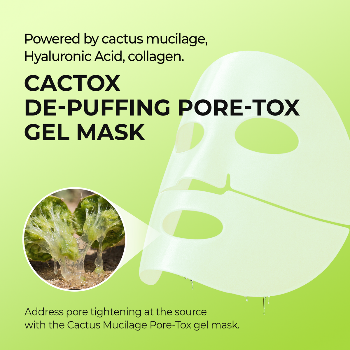 Cactox Hydro Pore Care Set - image 5